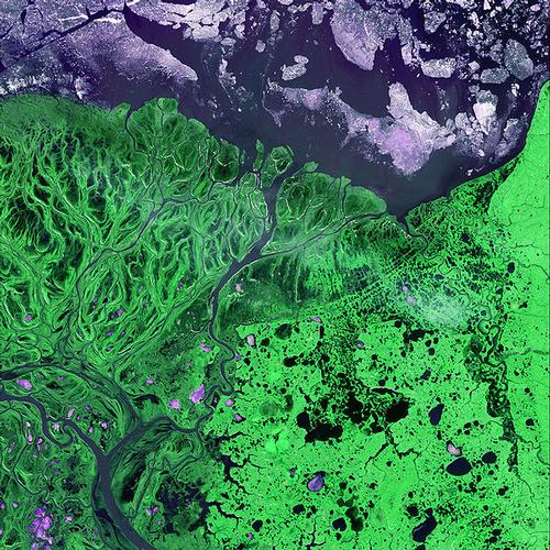 Yukon Delta Satellite Photo