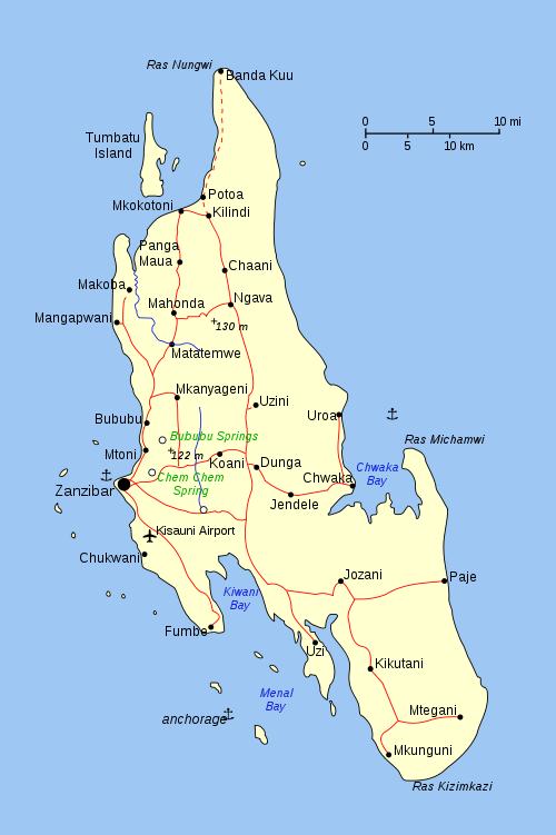 Zanzibar Topographical Map