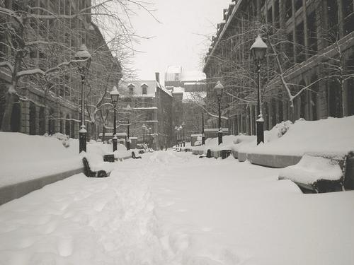 Snow in Old Montreal 