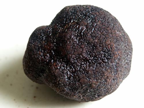 Black Truffles are a delicacy in Pula
