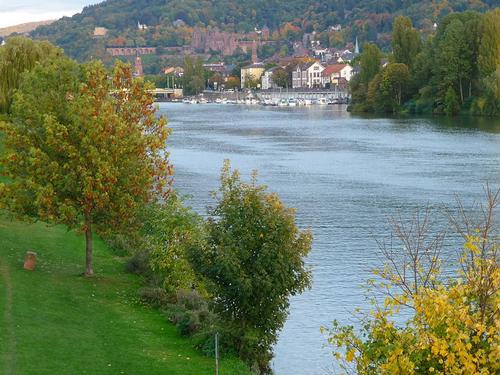 Neckar near Heidelberg