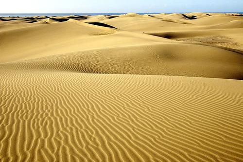 Sand dunes Playa del Ingles