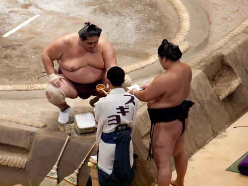 Tokyo Sumo Wrestling 