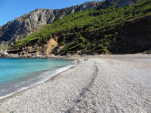 Beach Puerto de Alcudia 