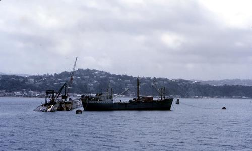 Wahine sunk in the harbour of Wellington