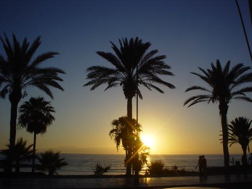 Tenerife, Playa de las Americas Boulevard at Sunset
